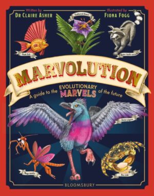Marvolution : An Awe-Inspiring Celebration of the Evolutionary Marvels of the Future by Asher, Dr Claire