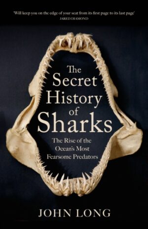 The Secret History of Sharks : The Rise of the Ocean's Most Fearsome Predators by Long, John
