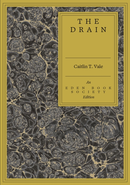 The Drain by Vale, Caitlin T.