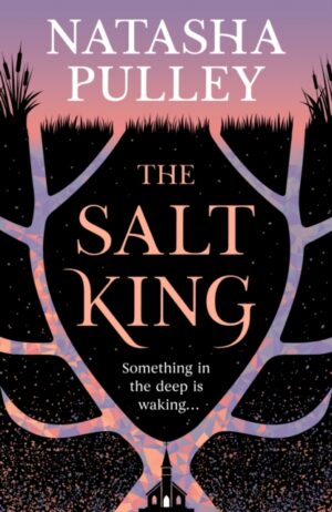 The Salt King : An end of the world thriller, packed with dazzling wit and romance by Pulley, Natasha