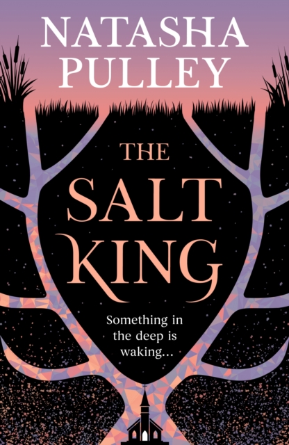 The Salt King : An end of the world thriller, packed with dazzling wit and romance by Pulley, Natasha