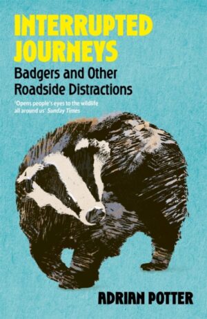Interrupted Journeys : Badgers and Other Roadside Distractions by Potter, Adrian