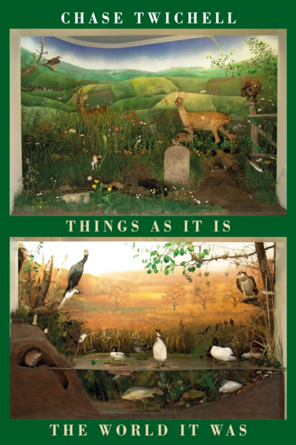 Things as It Is | The World It Was by Twichell, Chase
