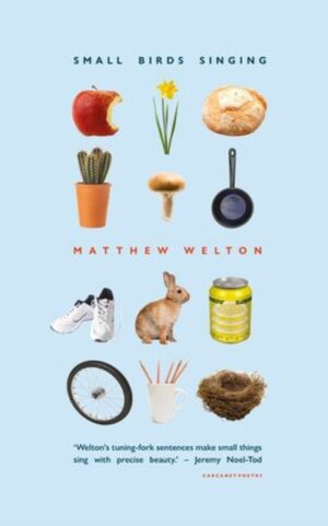 Small Birds Singing by Welton, Matthew