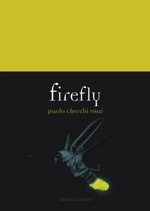 Firefly by Cherchi Usai, Paolo