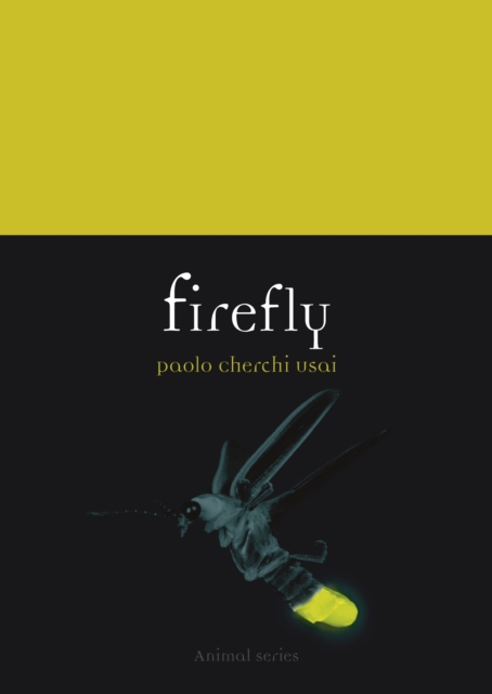 Firefly by Cherchi Usai, Paolo