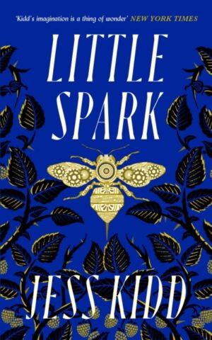 Little Spark by Kidd, Jess